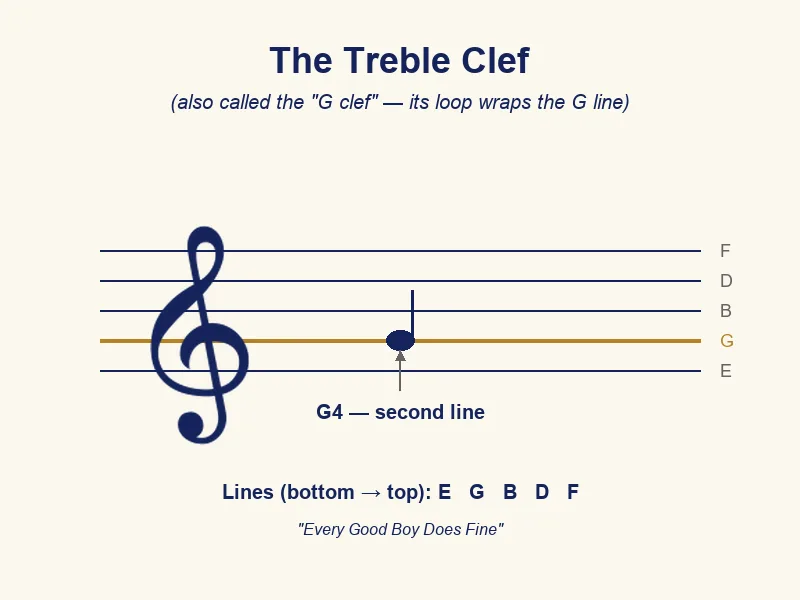 Module 7: Rhythm & Notation — Module 7 Treble Clef G4